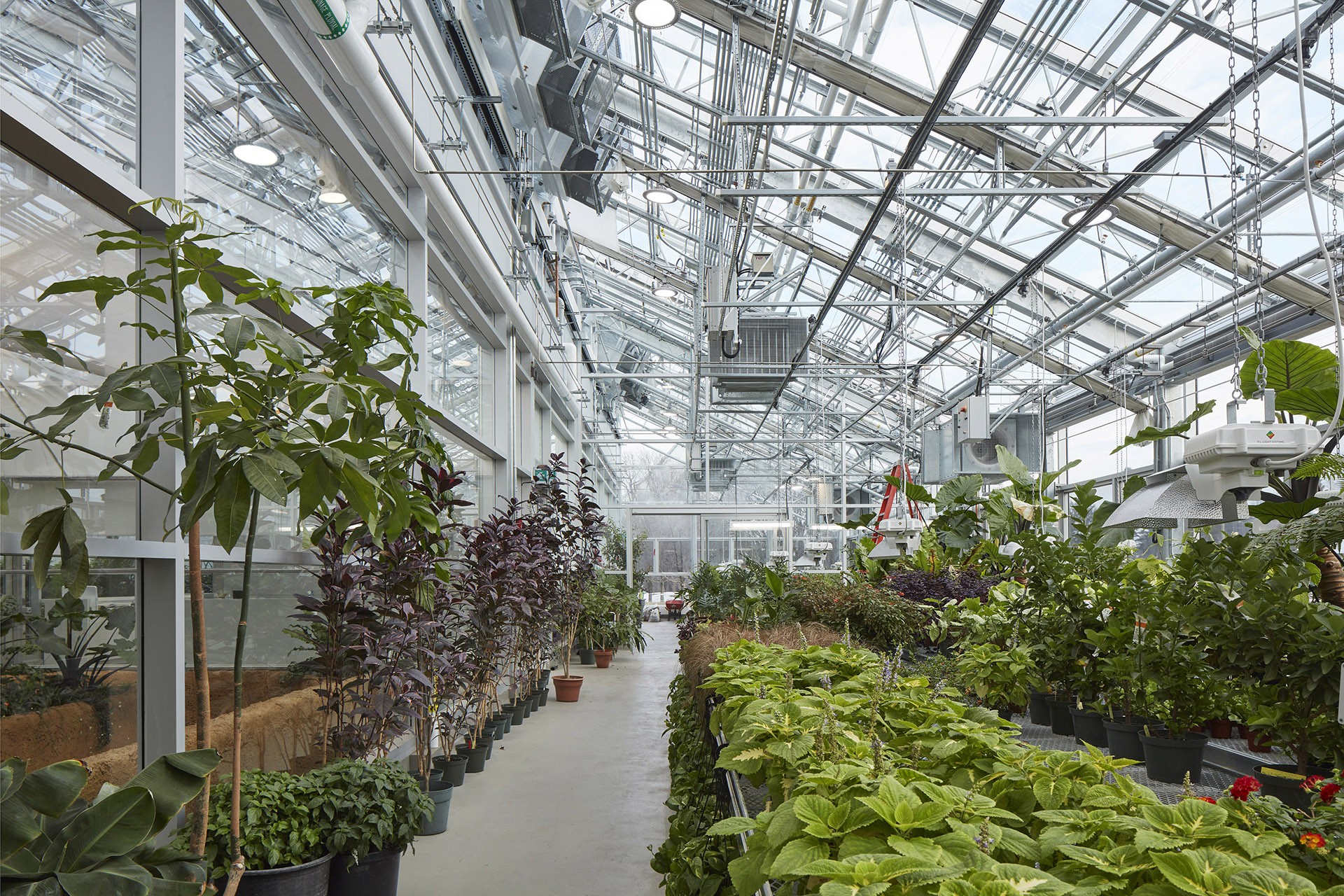 Grand Award of Excellence in Architecture for the Metamorphosis of the Montréal Insectarium